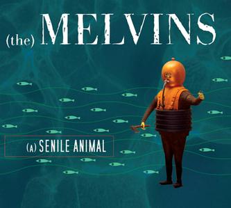 Senile Cover